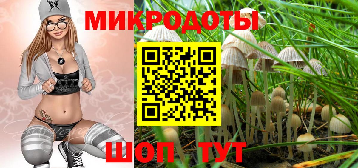 Псилоцибиновые грибы Cubensis  Вход с VPN  Котлас 